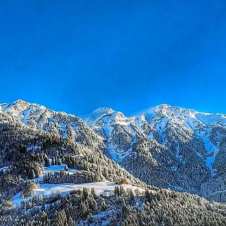 Austria Hotel *